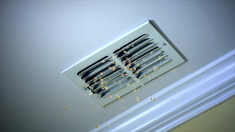 Best Commercial HVAC Duct Cleaning  in Star City, WV