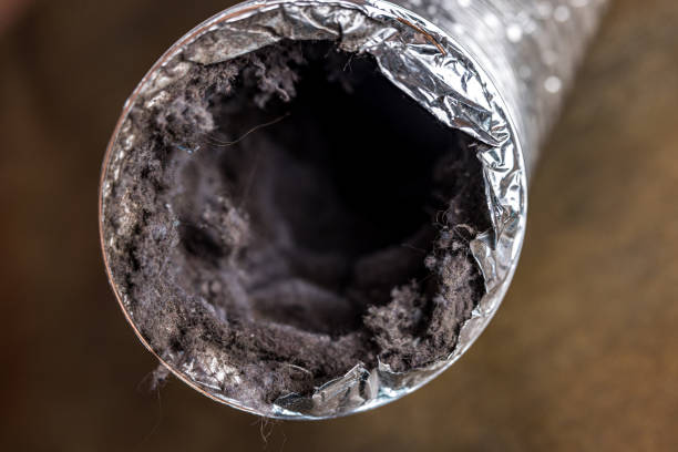 Best HVAC Duct Inspection Services  in Star City, WV