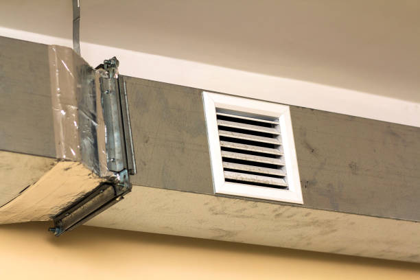 Best Air Duct Sanitizing Services  in Star City, WV